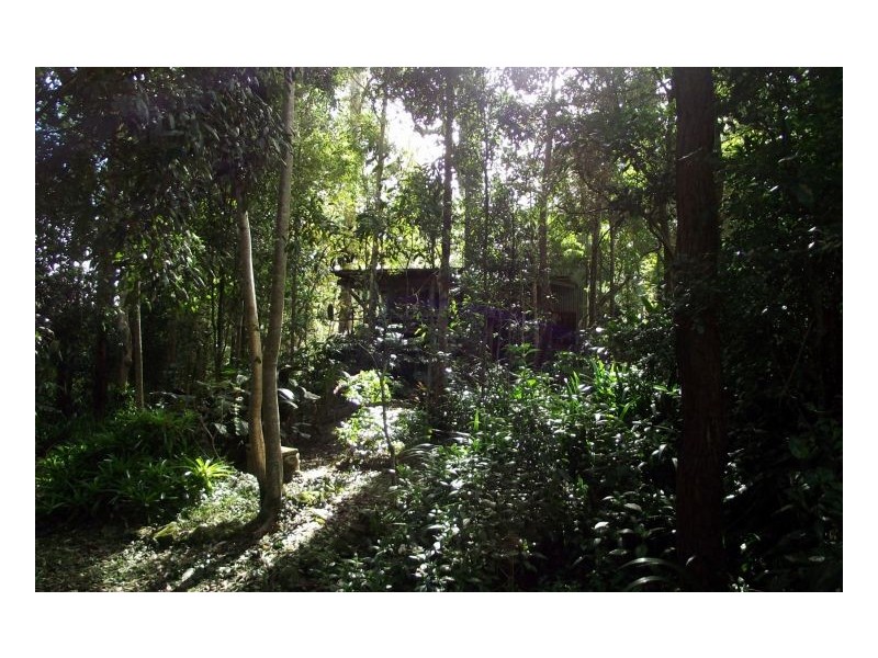 25 Dingo Gully Road, Kyogle NSW 2474