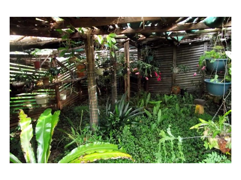 77 Woodenbong Road, Bonalbo NSW 2469