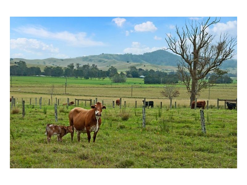 Howard Court, Mayfield Estate, Kyogle NSW 2474