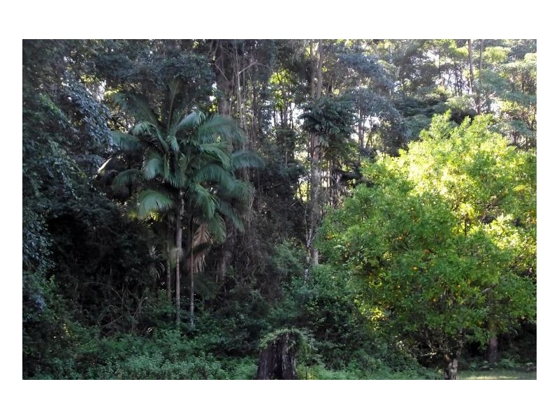 1106 #Green Pigeon Road, Kyogle NSW 2474