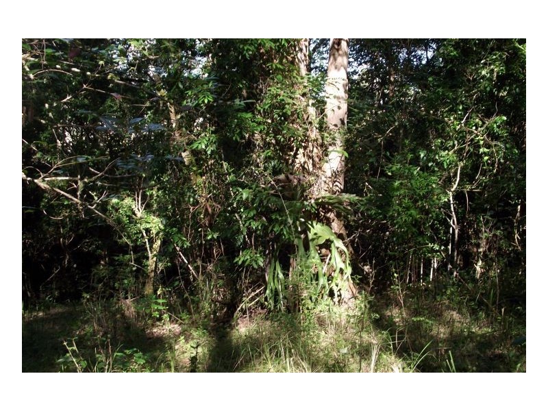 1106 #Green Pigeon Road, Kyogle NSW 2474