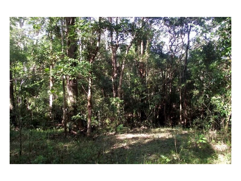 1106 #Green Pigeon Road, Kyogle NSW 2474