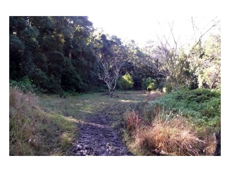 1106 #Green Pigeon Road, Kyogle NSW 2474