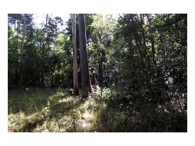 1106 #Green Pigeon Road, Kyogle NSW 2474