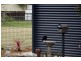 63 McDougall Street, Kyogle NSW 2474