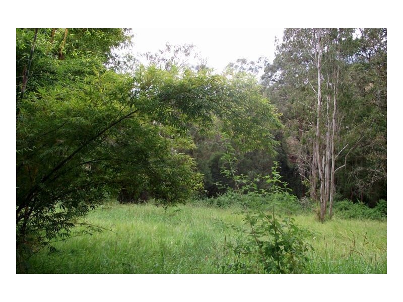 582 Horseshoe Creek Road, Kyogle NSW 2474