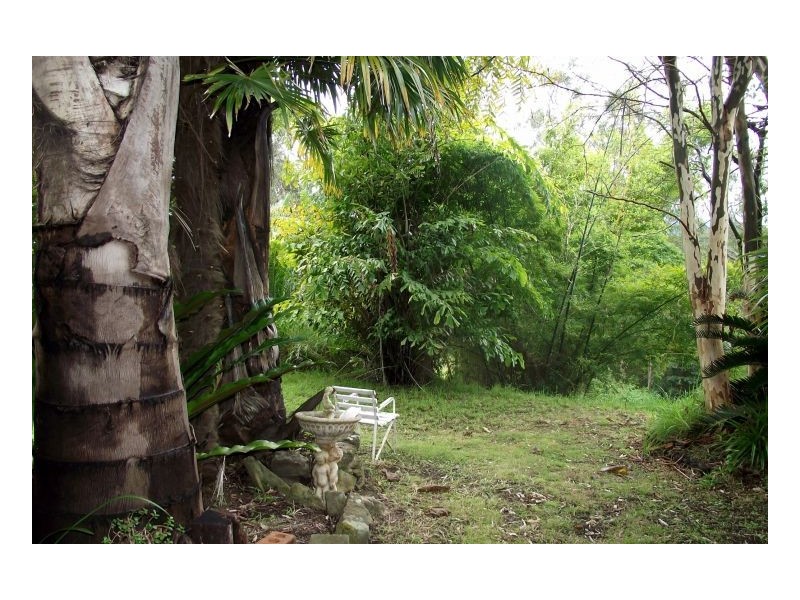 582 Horseshoe Creek Road, Kyogle NSW 2474