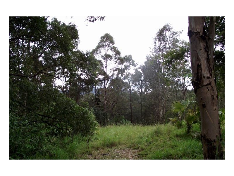 582 Horseshoe Creek Road, Kyogle NSW 2474