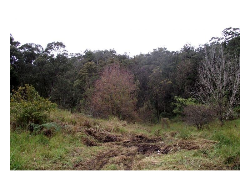 582 Horseshoe Creek Road, Kyogle NSW 2474