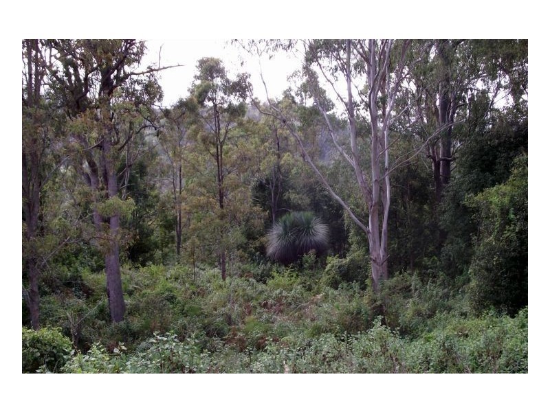 Lot 9 Cawongla Views Estate, Kyogle NSW 2474