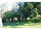 Kyogle NSW 2474