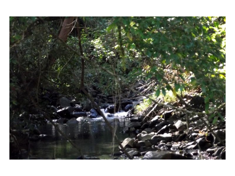 1106 Green Pigeon Road, Kyogle NSW 2474