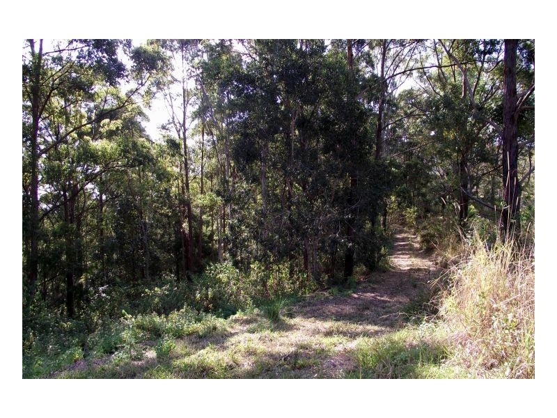 Kyogle NSW 2474