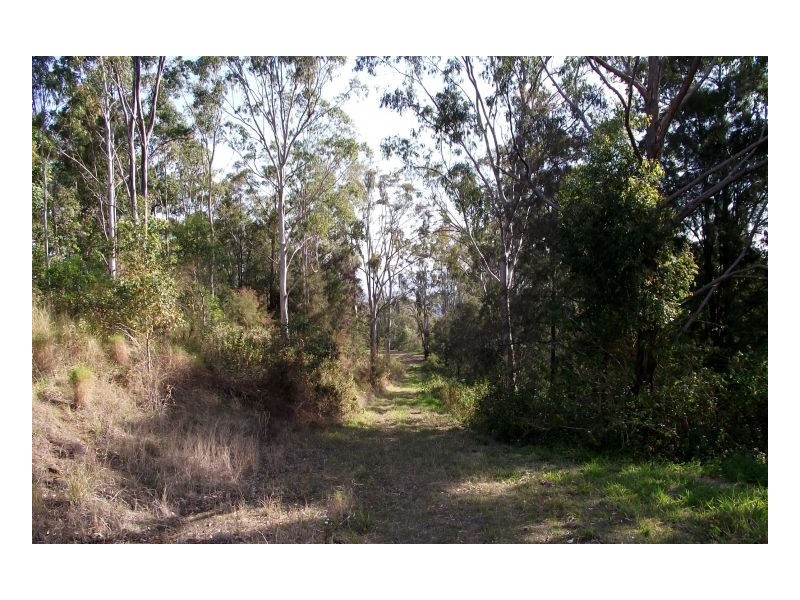 Kyogle NSW 2474