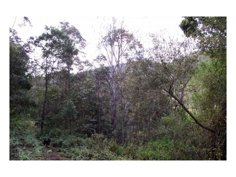 Lot 22 Lions Road, Kyogle NSW 2474