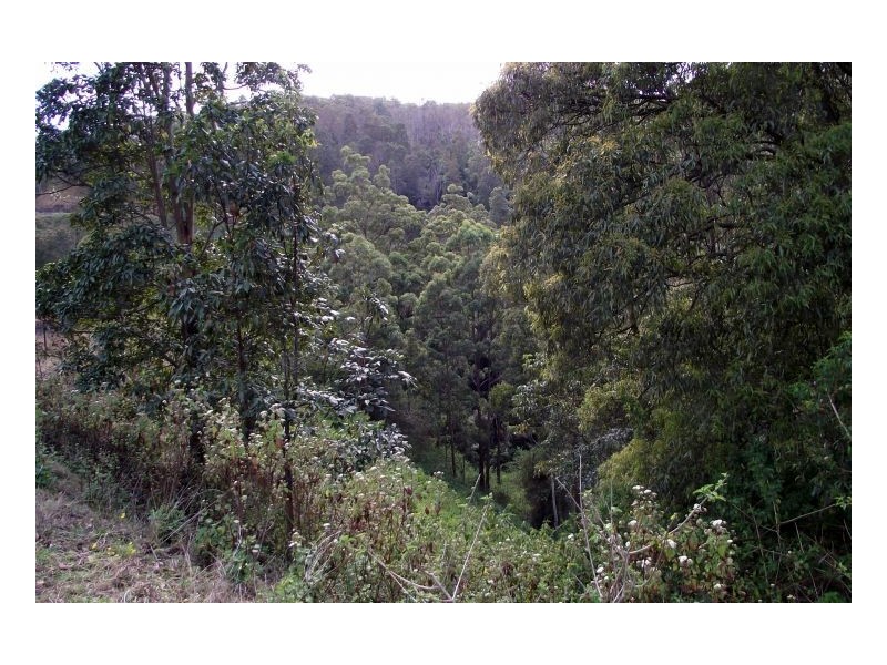Lot 22 Lions Road, Kyogle NSW 2474
