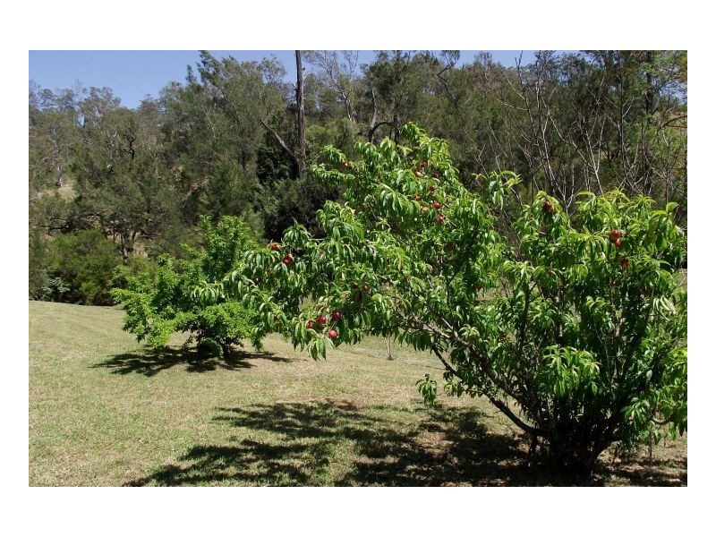 91 Eden Creek Road, Kyogle NSW 2474