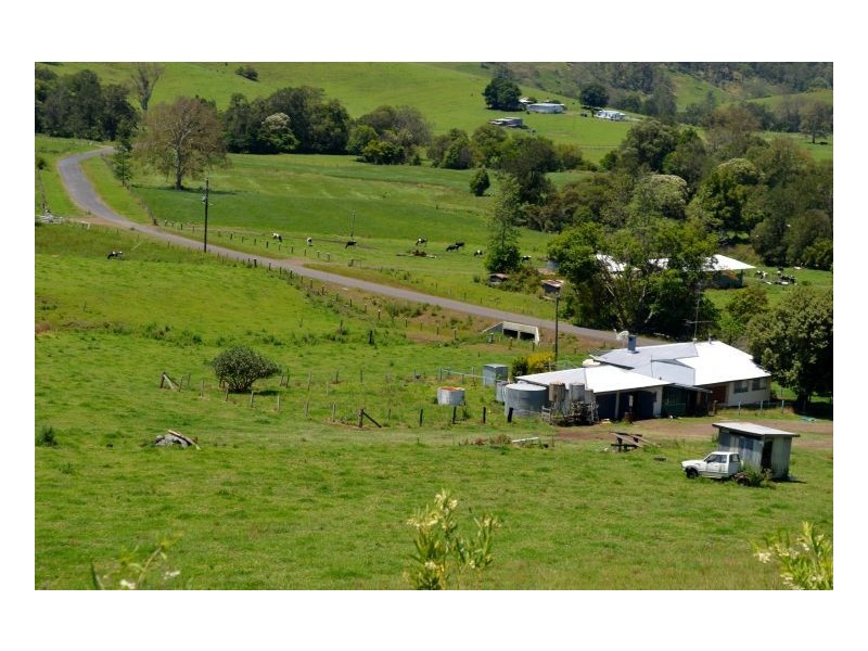 219 *Gradys Creek Road, Kyogle NSW 2474