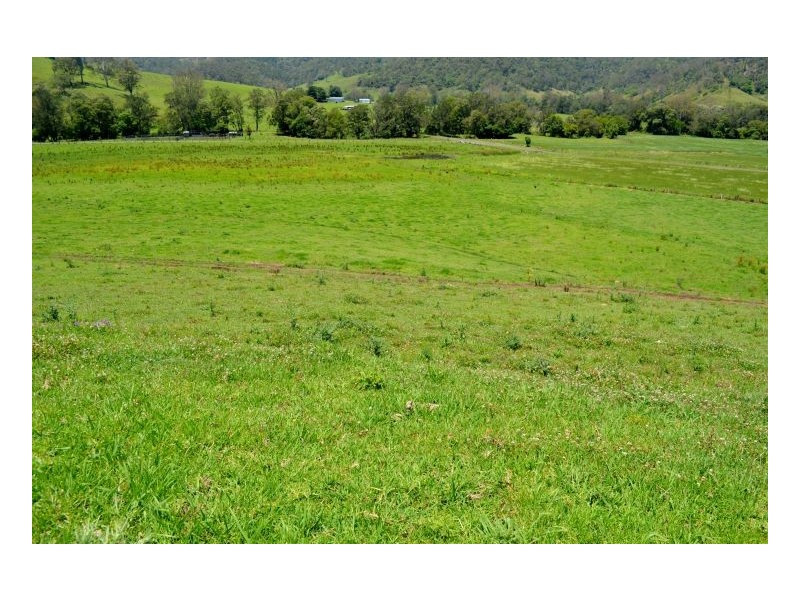 219 *Gradys Creek Road, Kyogle NSW 2474