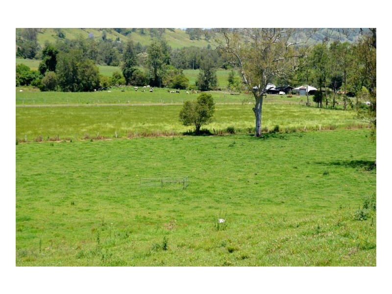 219 *Gradys Creek Road, Kyogle NSW 2474