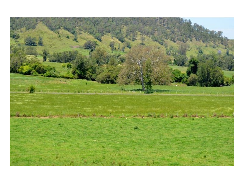 219 *Gradys Creek Road, Kyogle NSW 2474