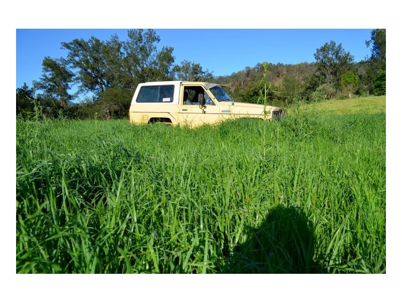 219 *Gradys Creek Road, Kyogle NSW 2474