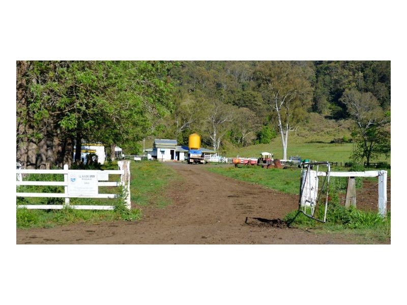 219 *Gradys Creek Road, Kyogle NSW 2474