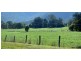 219 *Gradys Creek Road, Kyogle NSW 2474