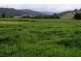 219 *Gradys Creek Road, Kyogle NSW 2474