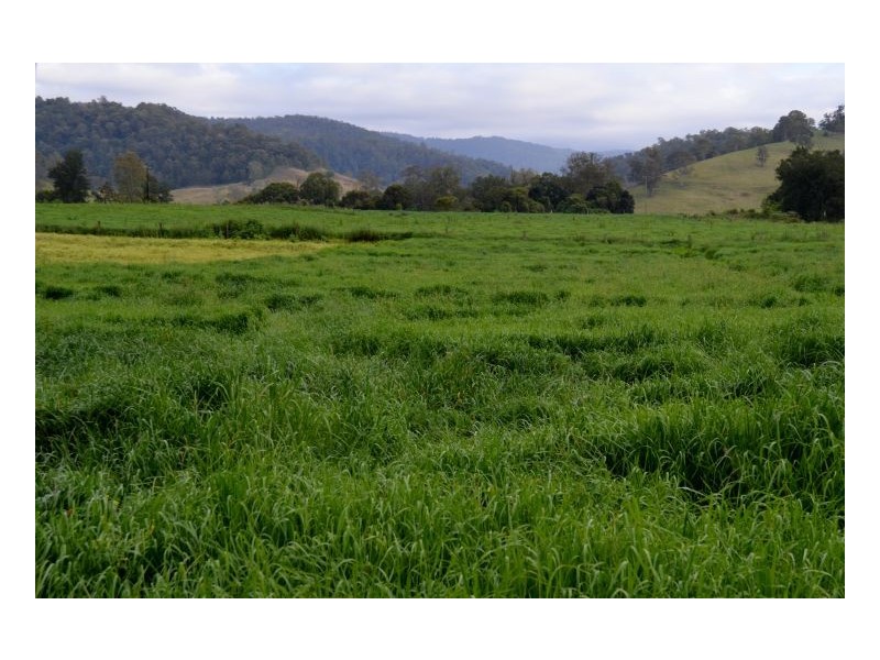 219 *Gradys Creek Road, Kyogle NSW 2474