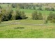219 *Gradys Creek Road, Kyogle NSW 2474