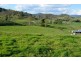 219 *Gradys Creek Road, Kyogle NSW 2474