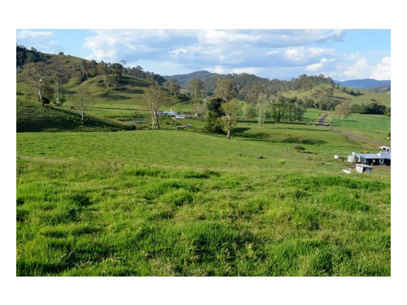 219 *Gradys Creek Road, Kyogle NSW 2474