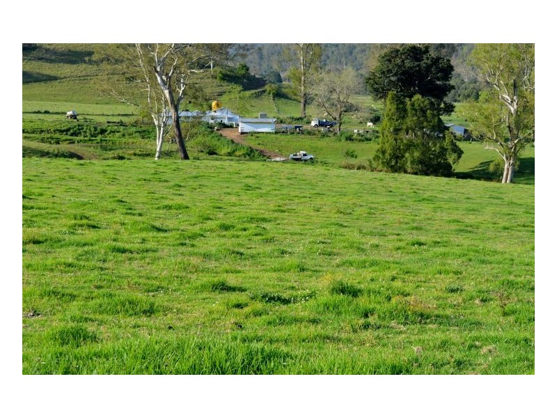 219 *Gradys Creek Road, Kyogle NSW 2474