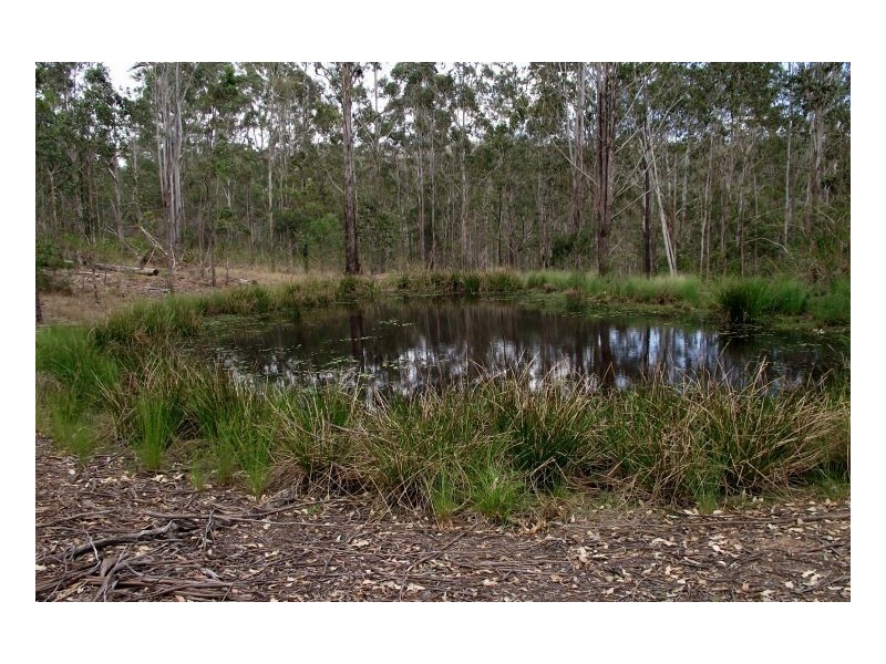 Kyogle NSW 2474