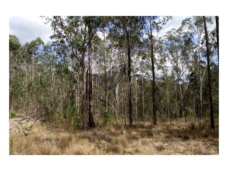 Kyogle NSW 2474
