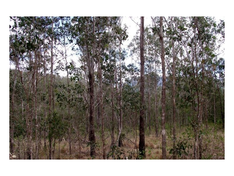 Kyogle NSW 2474