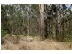 Kyogle NSW 2474