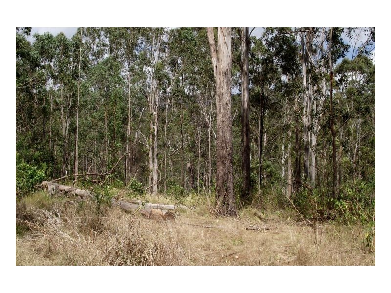 Kyogle NSW 2474
