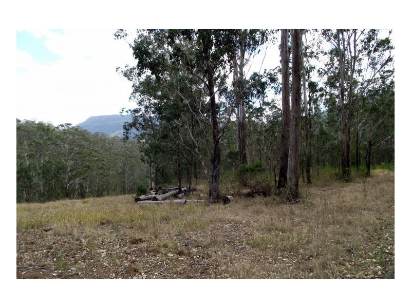 Kyogle NSW 2474