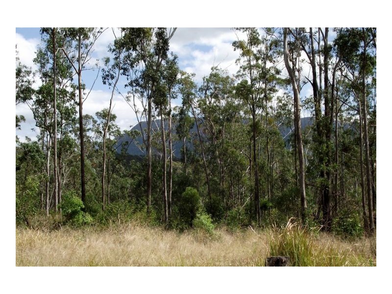 Kyogle NSW 2474