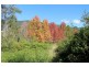 936 Roseberry Creek Rd, Kyogle NSW 2474