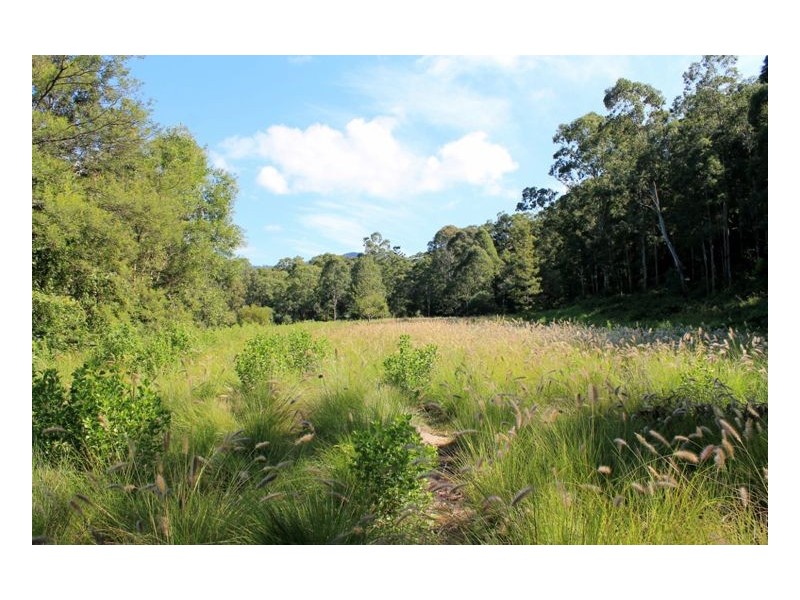 936 Roseberry Creek Rd, Kyogle NSW 2474