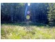 936 Roseberry Creek Rd, Kyogle NSW 2474