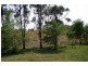 319 Ferndale Road, Kyogle NSW 2474