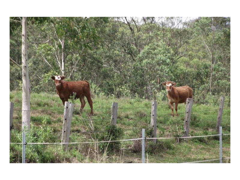 23 Newtons Rd, Kyogle NSW 2474