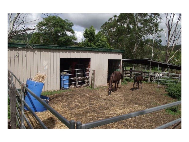 23 Newtons Rd, Kyogle NSW 2474