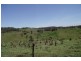 Kyogle NSW 2474