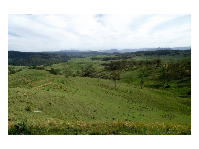 Kyogle NSW 2474