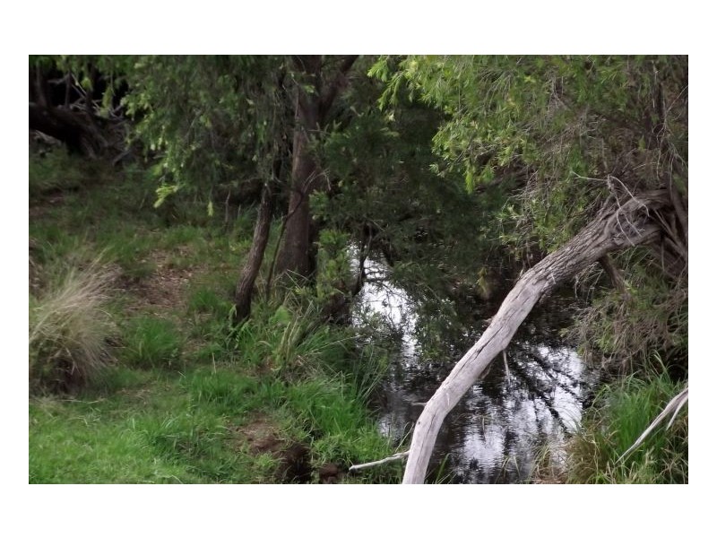 Kyogle NSW 2474